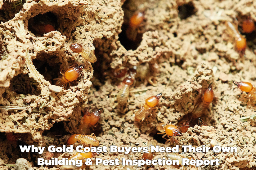 Why Buyers Need Their Own Building & Pest Inspection - Craig Douglas 0418 189 963